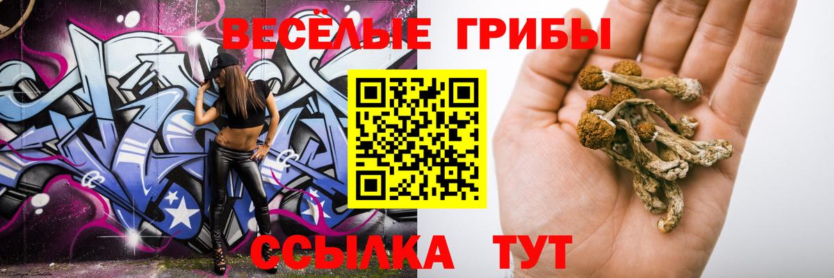Красный Сулин  Псилоцибиновые грибы ЛСД  где найти наркотики  Вход с VPN  Галлюциногенные грибы ЛСД 